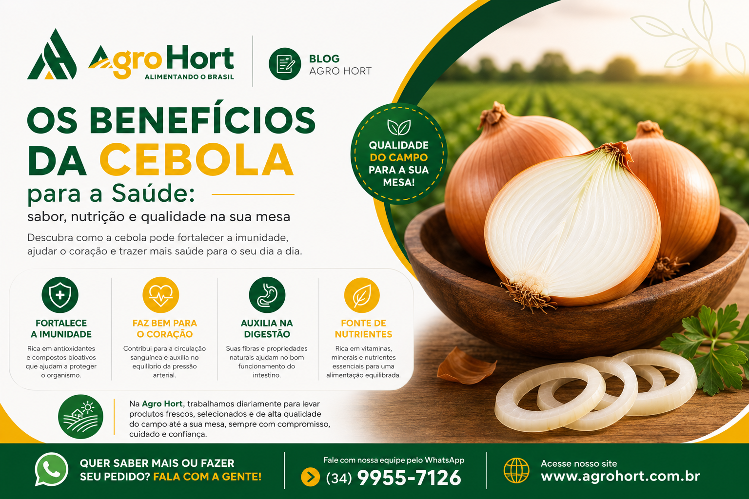 Beneficios da cebola - agrohort